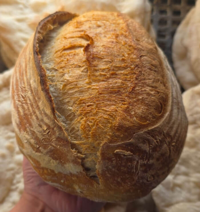 Producto - Gabo the Baker