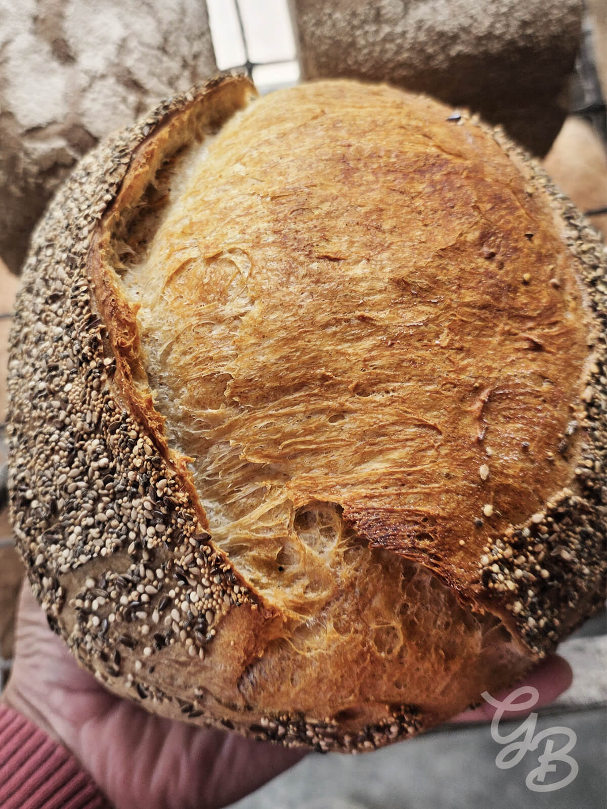 Asesoría de Masa Madre y Pan de Masa Madre - Imagen 4