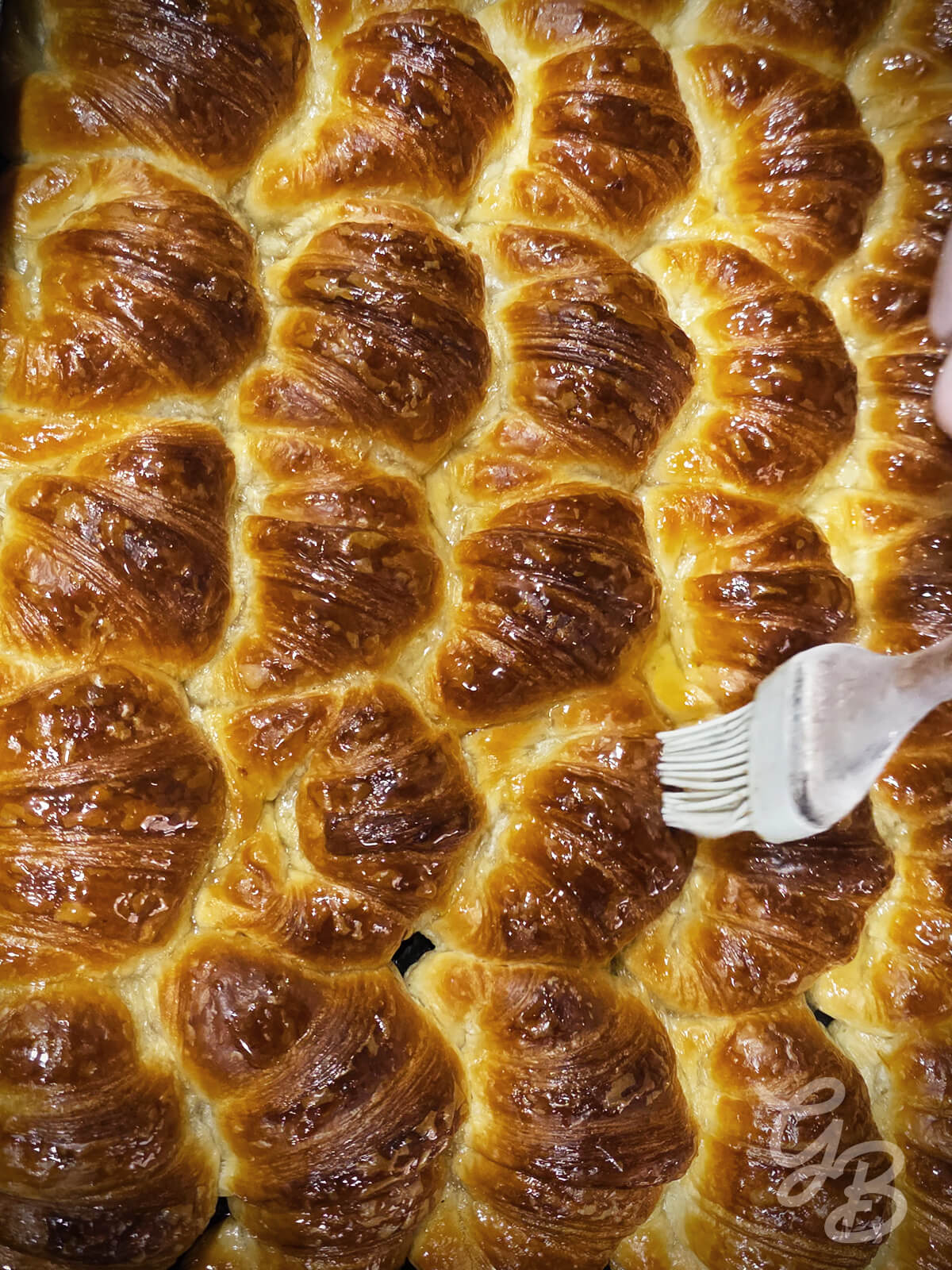 Asesoría de Laminados (Croissant, Medialunas, Pain au Chocolat) - Imagen 5