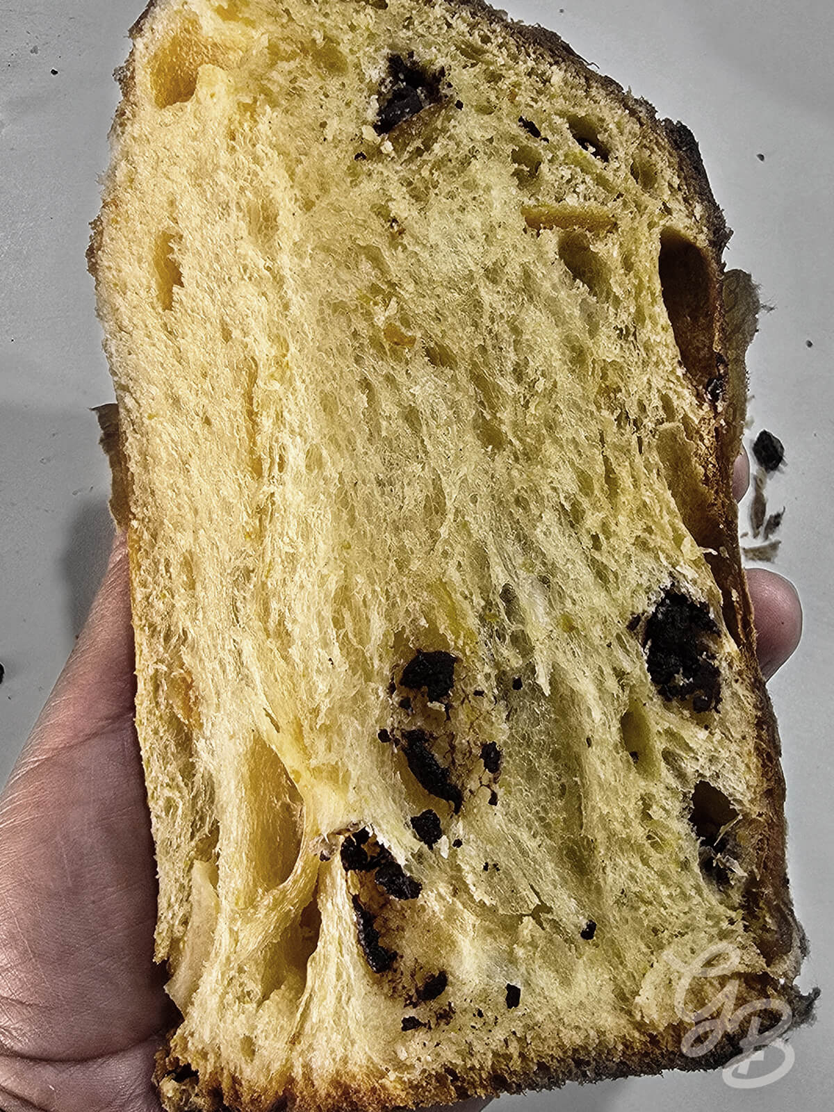 Asesoría de Panettone Italiano (Masa Madre) - Imagen 4