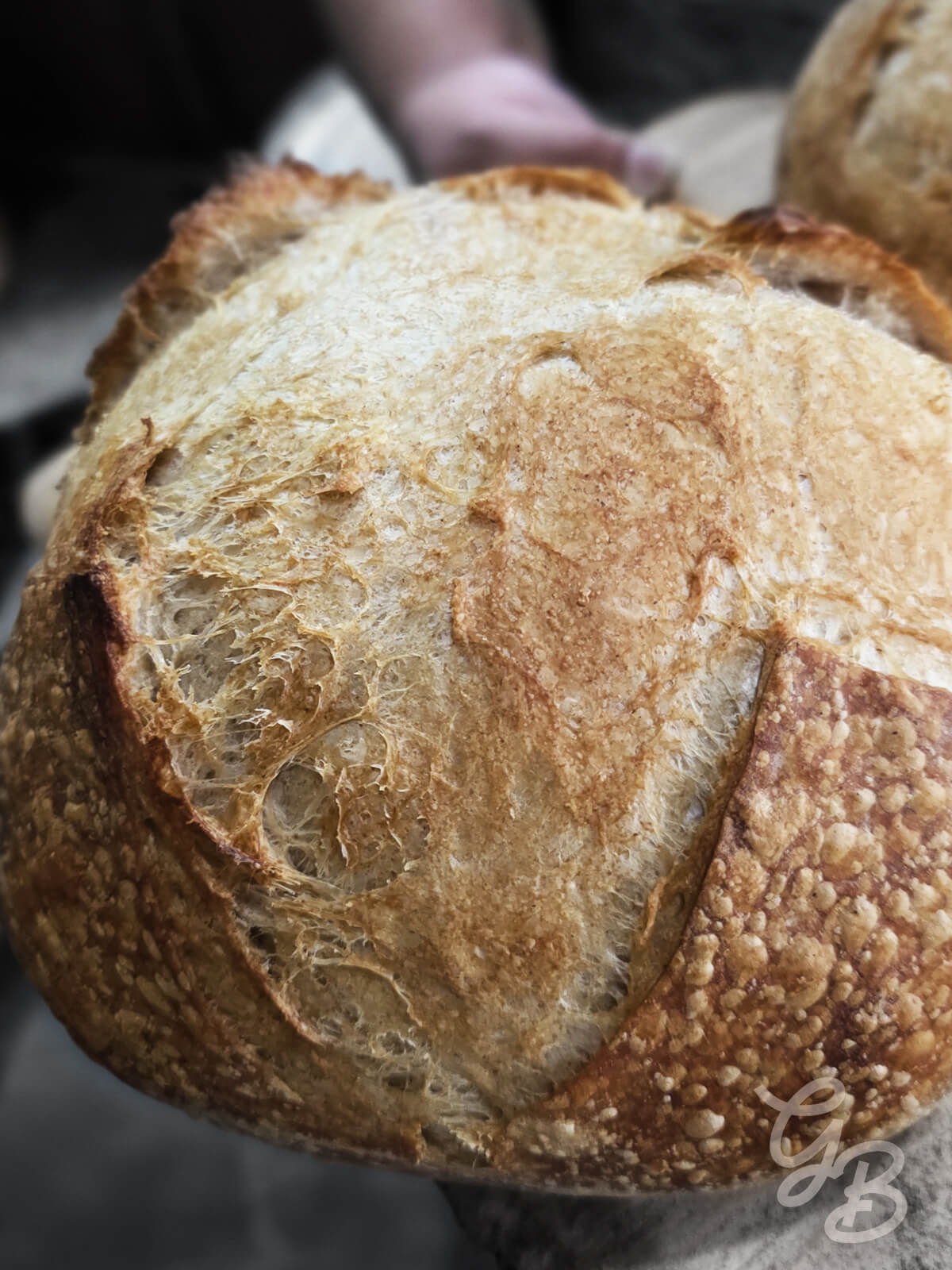 Asesoría Integral para Obradores Artesanales - Imagen 2