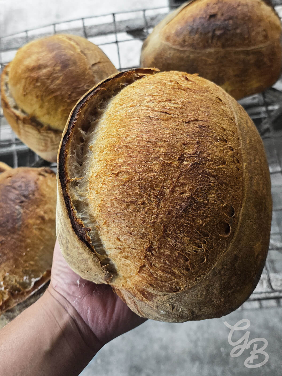 Asesoría de Masa Madre y Pan de Masa Madre - Imagen 5