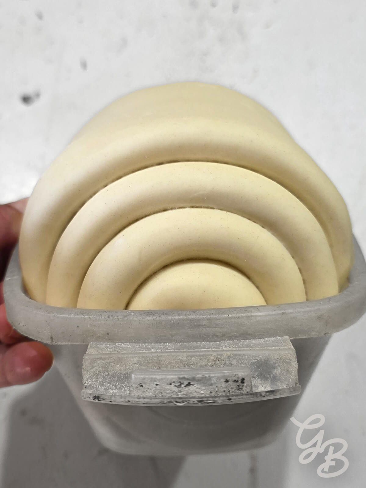 Asesoría de Panettone Italiano (Masa Madre) - Imagen 5