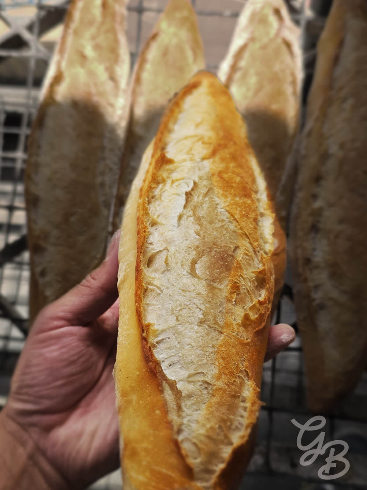 Asesoría de Masa Madre y Pan de Masa Madre - Imagen 6